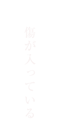 傷が入っている